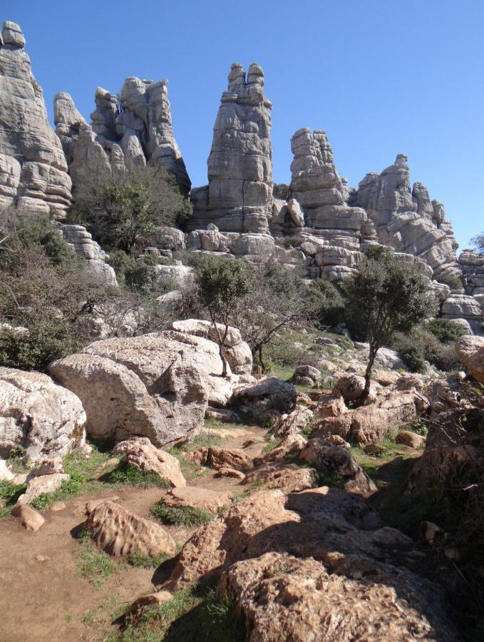 B&B Casa Sarandy Almogía Εξωτερικό φωτογραφία